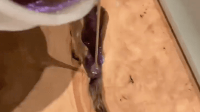 Must-Know Tips For Using Epoxy Resin And Wood!
